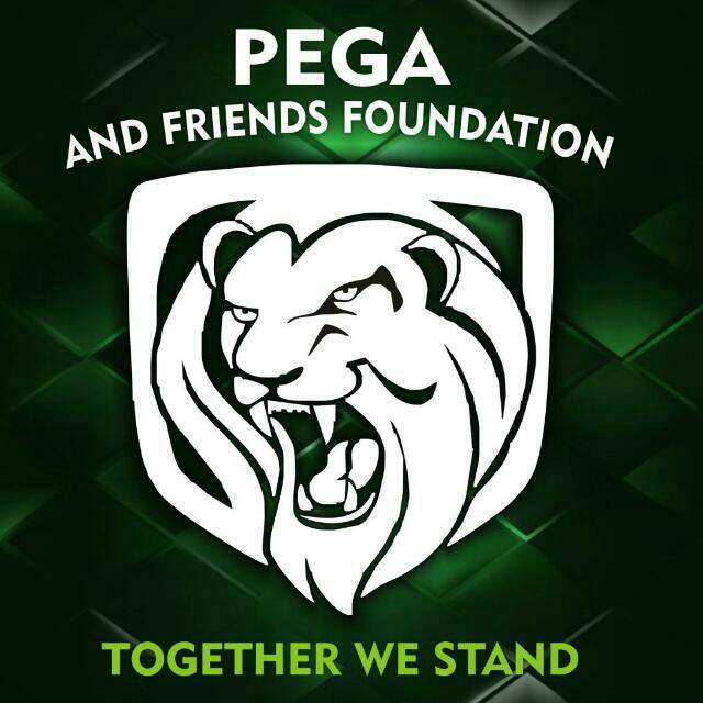 Pega & Friends Foundation